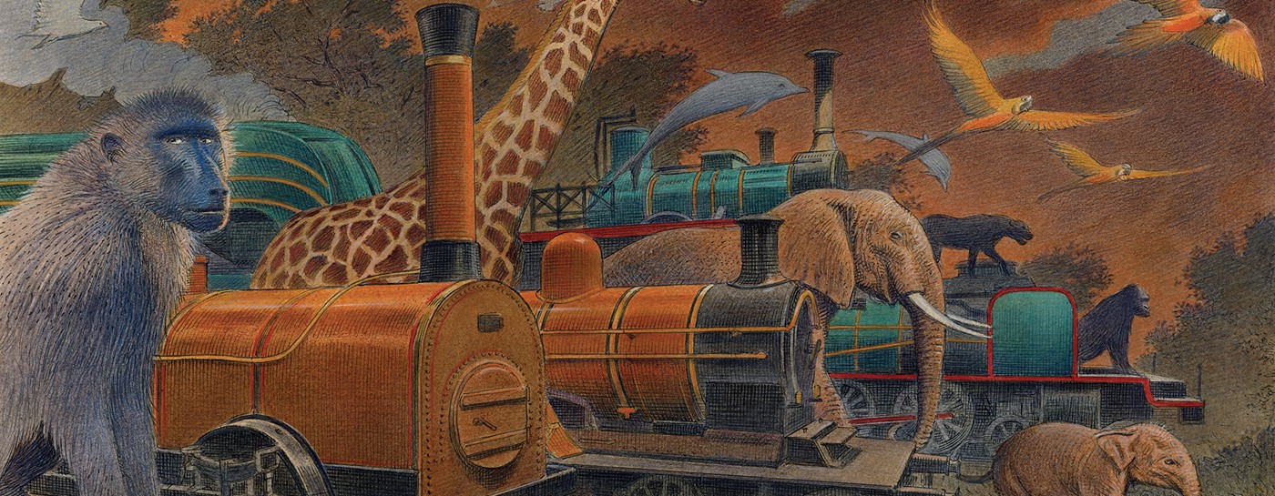 Animalia